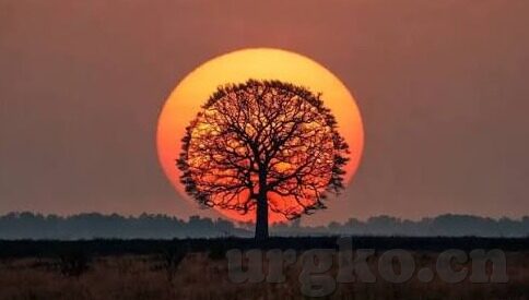 成人激情视频免费在线-点燃生活的火花，成人激情视频的探索与理解
