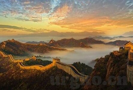 麻豆视频播放器下载-麻豆视频播放器下载，从新手到资深影迷的实用指南