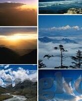 免费91麻豆视频-探索成人内容行业的现状，91麻豆视频的免费特性剖析